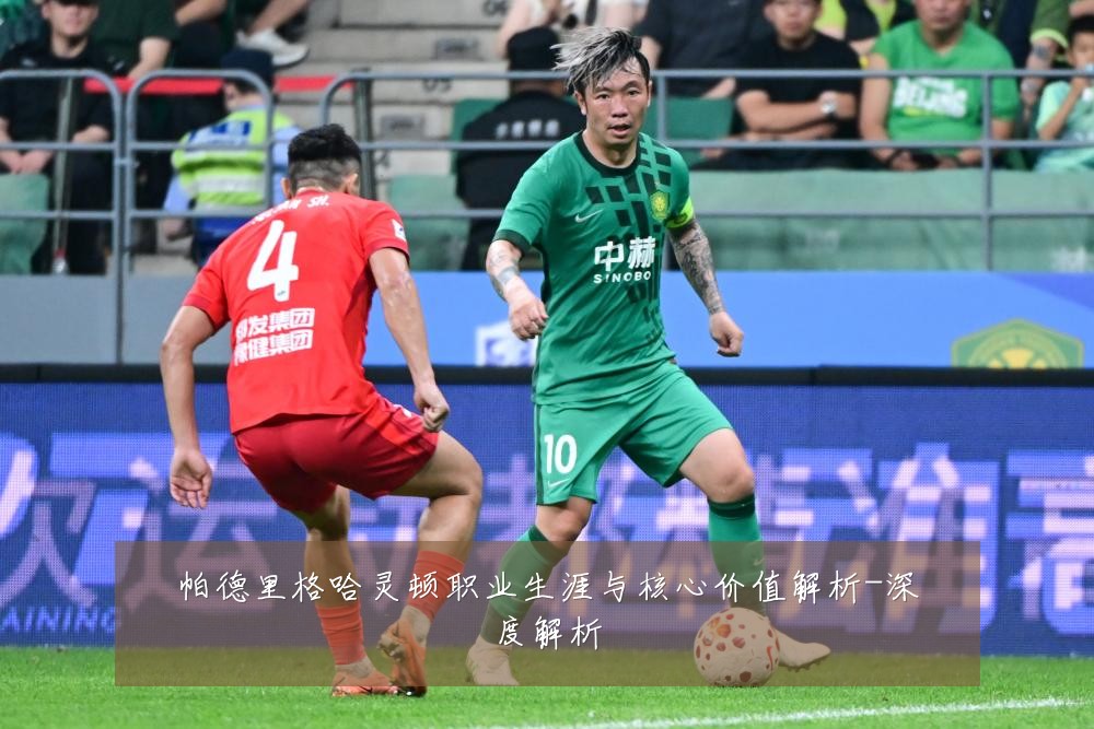 帕德里格哈灵顿职业生涯与核心价值解析-深度解析